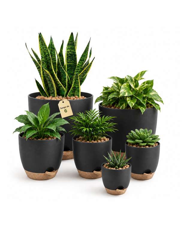 Pack de 6- Macetas Negras Autorriego de Interior, Tiesto de Plástico con Base Integrada, (20/18/17/15/14/13 cm),